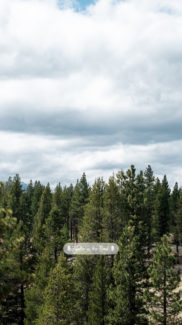 Sierra Nevada Phone Wallpaper