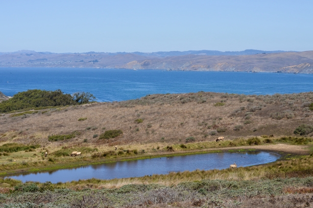 Northern California Road Trip