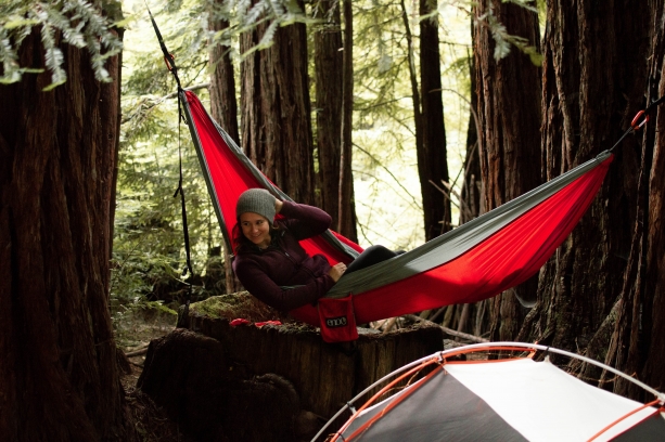 hammock for the win!