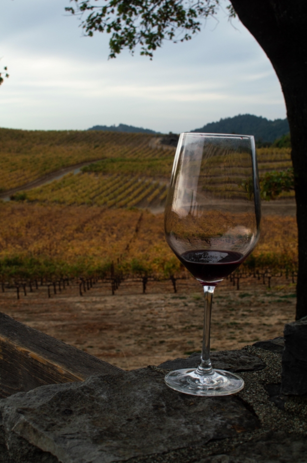 wine tasting in Napa