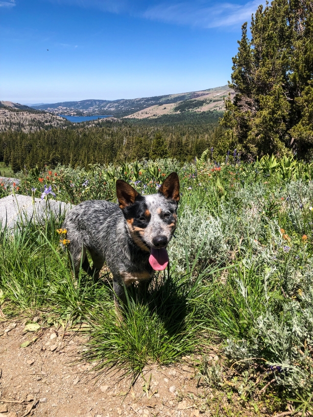 Lake Winnemucca Hike