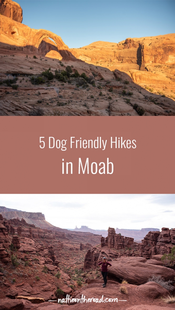 5 Dog Friendly Hikes in Moab