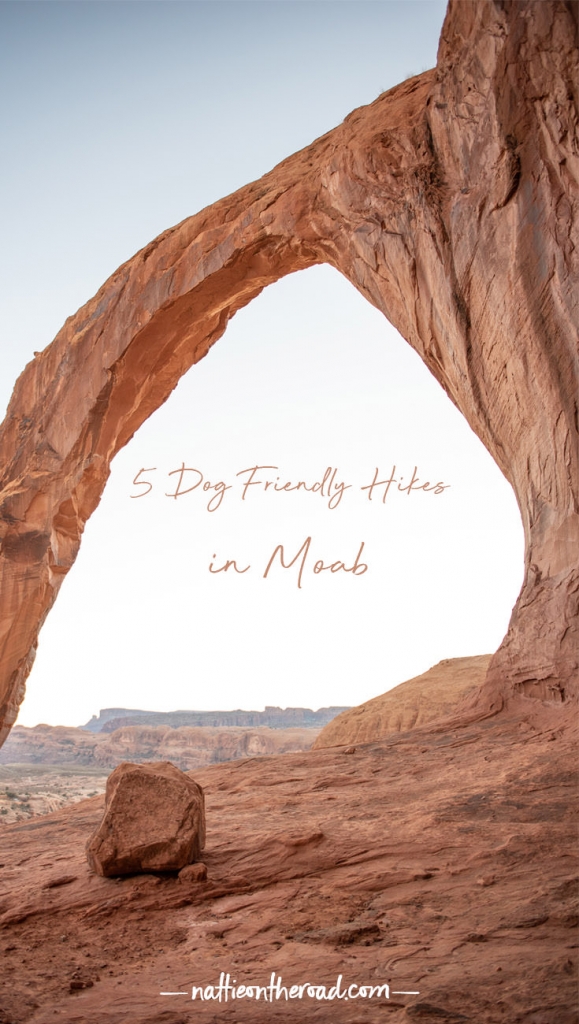 5 Dog Friendly Hikes in Moab