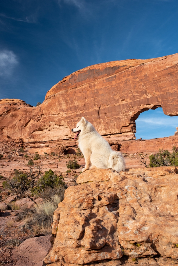 Dog friendly hike - Jeep Arch
