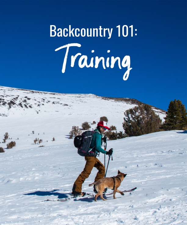 Backcountry 101: Training