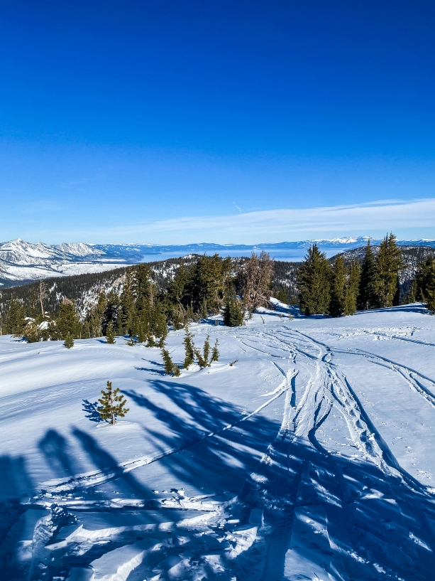 getting those fresh tracks