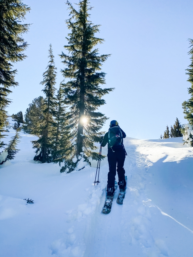 all the gear you'll need for the backcountry 