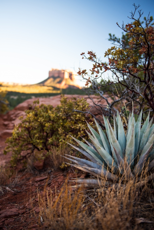 Sedona AZ