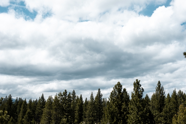 Where to stay in South Lake Tahoe